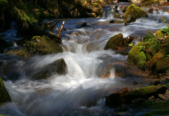 Fototapeta na wymiar Waterfall and forest stream in the Carpathian mountains. Ukraine. Europe
