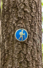 Fototapeta premium Blue hiking blaze