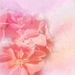 watercolor and flowers abstract background