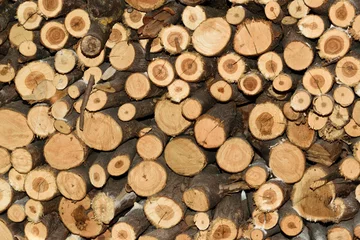Möbelaufkleber Stack of firewood background texture     © Florin