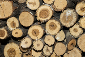 Stack of firewood background texture

