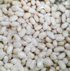 Dry Bean, Haricot, White Pea, White Kidney or Cannellini Purga i