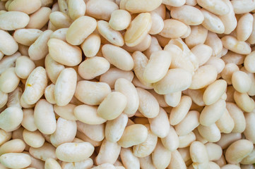 Boiled Dry Bean, Haricot, White Pea, White Kidney or Cannellini