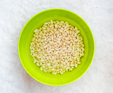 Dry Bean, Haricot, White Pea, White Kidney or Cannellini Purga i