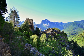 Corsica