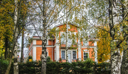 House behind the trees