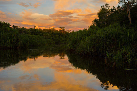 Orange clouds on the blue sky reflected in the river near the dark trees (Kumai, Indonesia)
