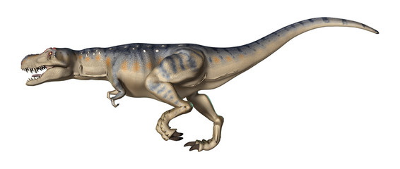 Fototapeta premium 3D Rendering Dinosaur Tyrannosaurus on White