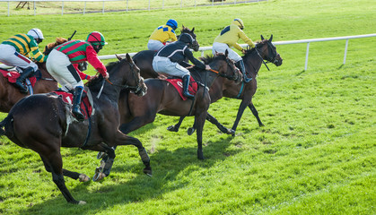Race horses and jockeys sprinting  towards the finish line