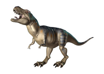 Obraz premium 3D Rendering Dinosaur Tyrannosaurus on White