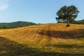 Typical Italian landscape in Tuscany