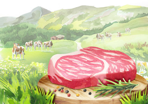 Fresh raw marbled steak with spices on a plate in landscape with cows. Watercolor