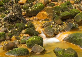 Bohemian Switzerland National Park, the river in the forest
