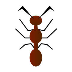 Ant Vector