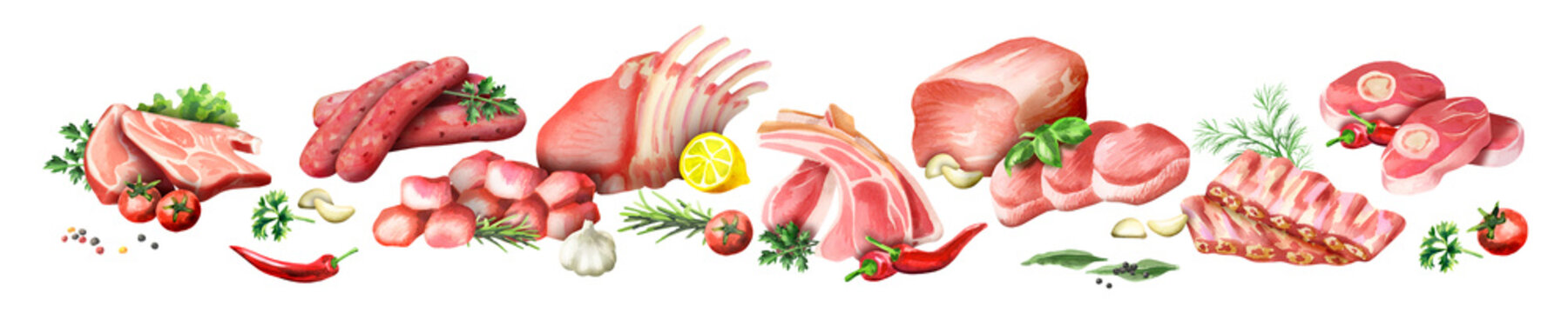 Panoramic image of raw meat on a white background. Watercolor