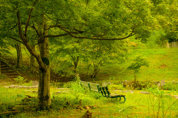 兵庫県・里山の公園、古いベンチ