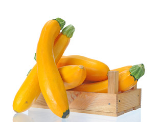 Fototapeta na wymiar yellow zucchini