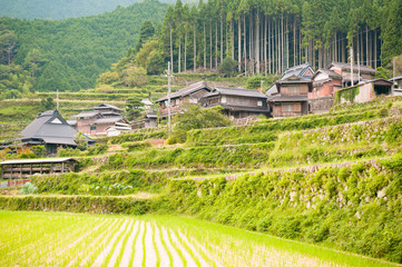 兵庫県多可町・日本棚田百景　岩座神（いさりがみ）の秋