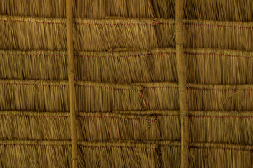 grass and bamboo warm tone texture