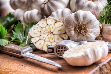Garlic. Bunch of fresh garlic with celery herbs.