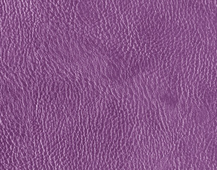 Violet leather texture.