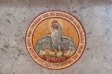 Detail Chicken Mosaic