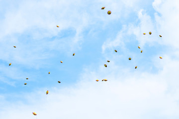 Flying balloons in the sky at the prom