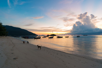 Reflection of Wooden Boat with Burning Sky During Sunrise