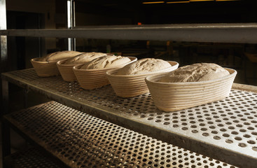 Fototapeta na wymiar Raw leavened breads prepared on the rack before placing in the o
