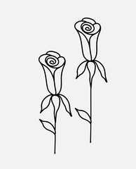 Roses Drawings