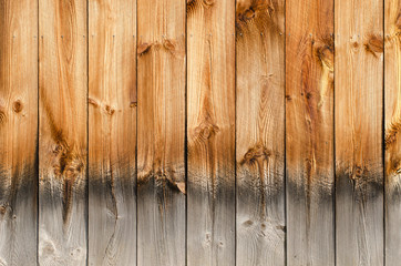 Wood Panel Texture