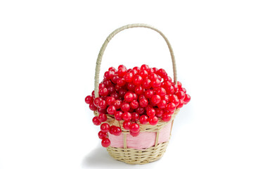 Red berries of guelder rose in small wicker basket