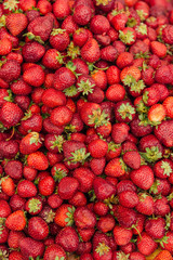 Fresh red strawberry background