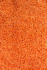 Pile of red lentil