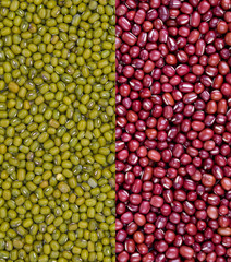 Mixture of beans food  background