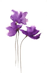 Abstract purple poppy flowers, watercolor impressionist style