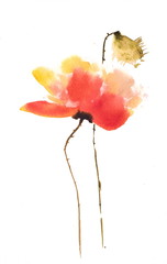 Red Poppy, poppy painting, watercolor painting