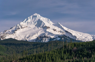 Mt. Hood From Lolo Pass in Oregon 1