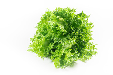 vegetable salad leaf isolated on white background. From Hydropon