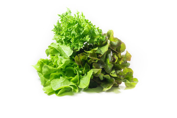 Obraz premium vegetable salad leaf isolated on white background. From Hydropon