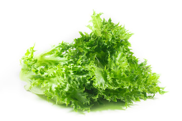 vegetable salad leaf isolated on white background. From Hydropon