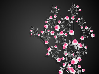 Beautiful Flowers Isolated on Dark Background