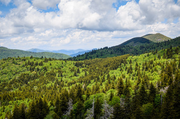 Blue Ridge Parkway