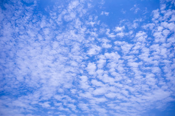 Fototapeta na wymiar Blue sky background with cloud (Altocumulus)