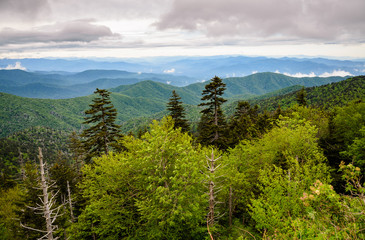 Great Smoky Mountains National Park