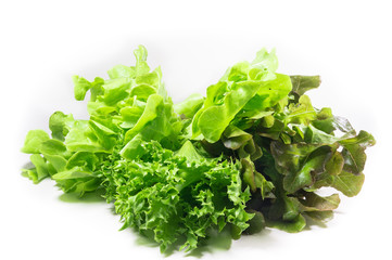 Fototapeta premium vegetable salad leaf isolated on white background. From Hydropon