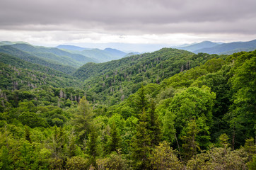 Naklejka na ściany i meble Great Smoky Mountains National Park