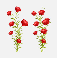 Growing Flowers Plants