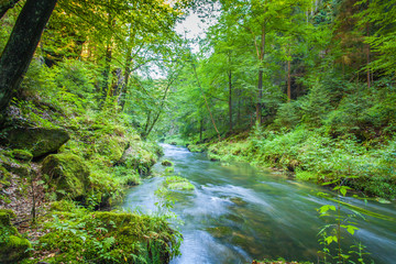 Obraz premium Krajobraz wąwozu Edmundsklamm w Parku Narodowym Czeska Szwajcaria Czechy