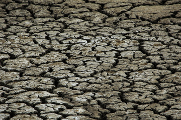 close up of dry cracked mud